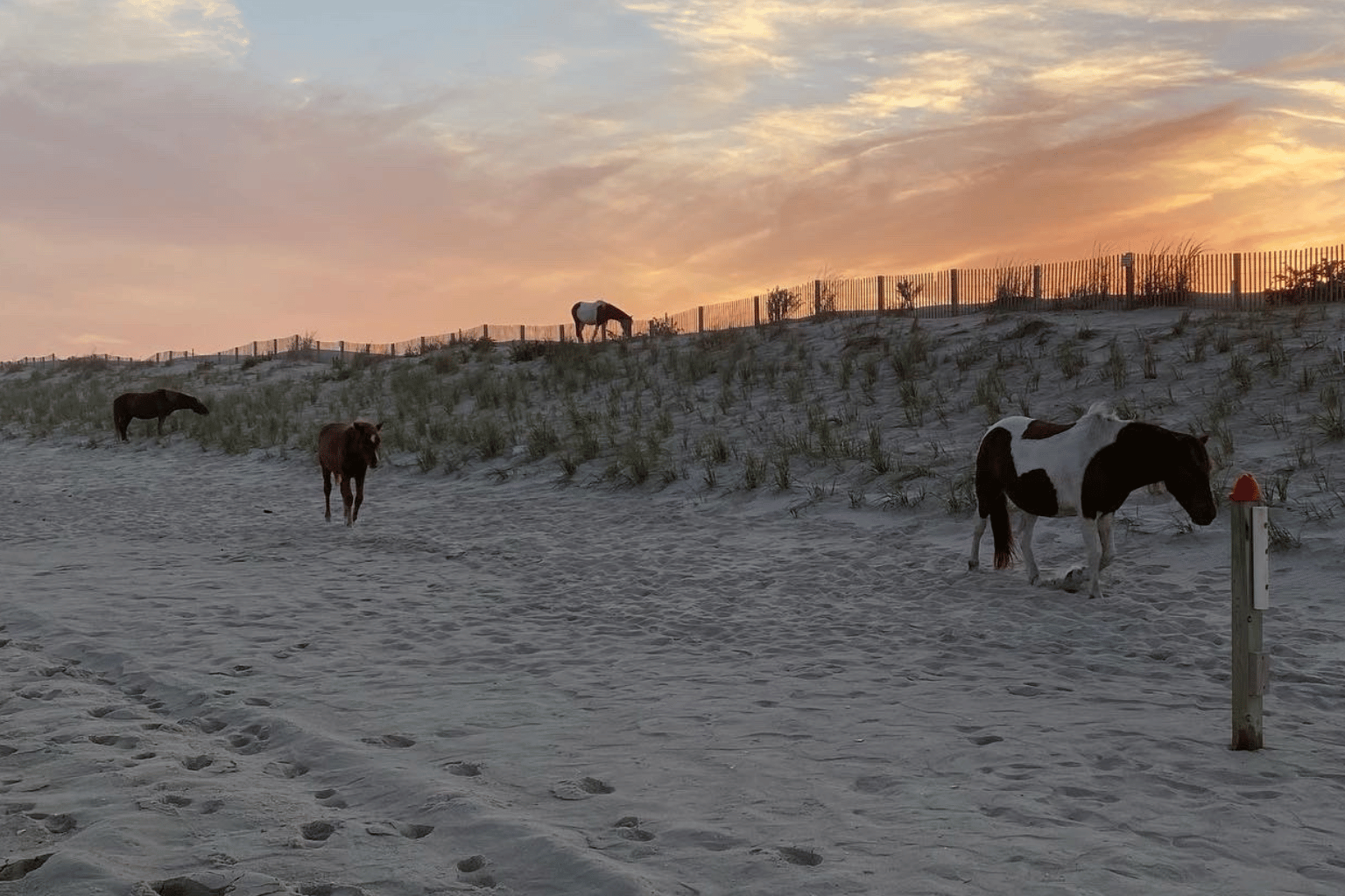 Assateague Island National Seashore RV rental delivery
