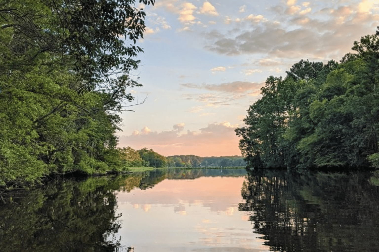Pocomoke River State Park RV campground